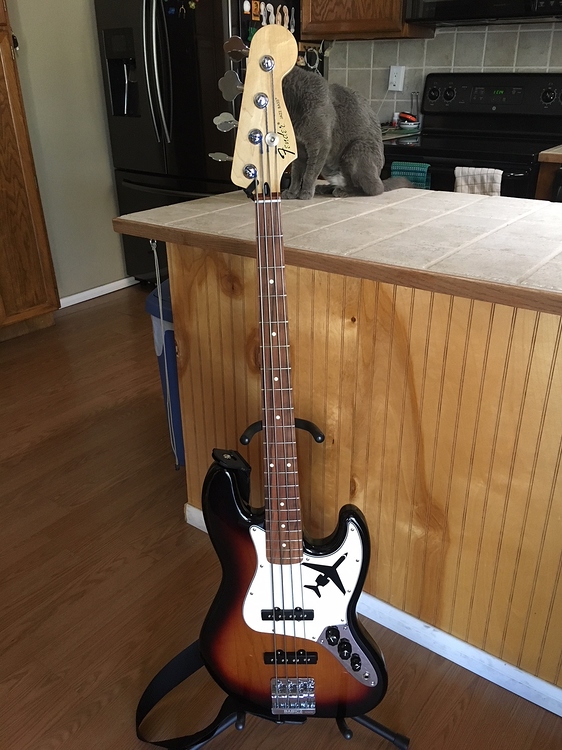 Set Up My First Bass Gear Bassbuzz Forum 7214