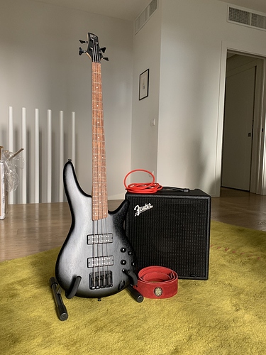 bass gear