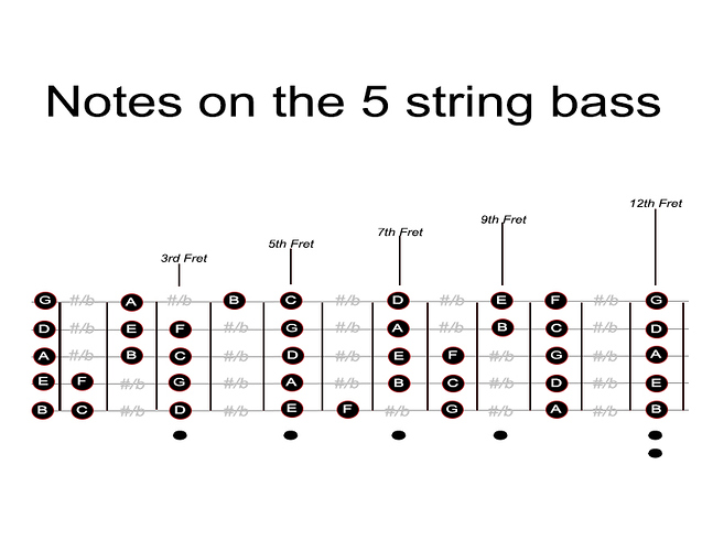 5 String Fret Board