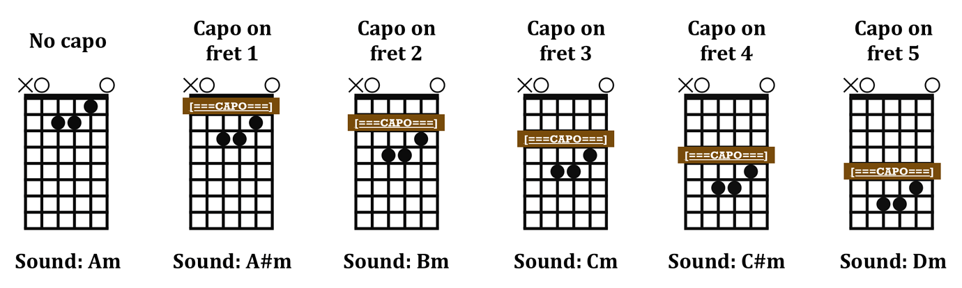 guitar-cheat-sheet-says-capo-on-the-fourth-fret-theory-bassbuzz-forum