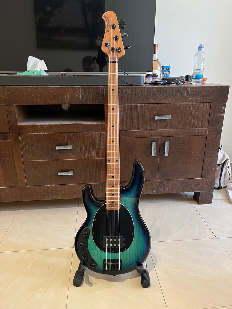 全国送料無料・イイ店 up acting is StingRay Man Music My - Forum BassBuzz - Gear ベース