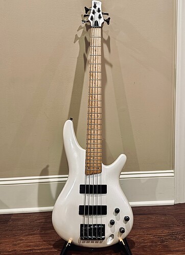 ibanezsr305m
