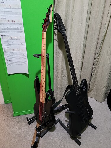 2 Basses