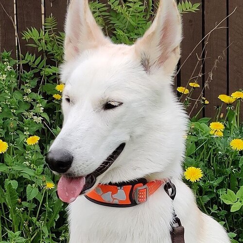 IMG_20251207_005528_400