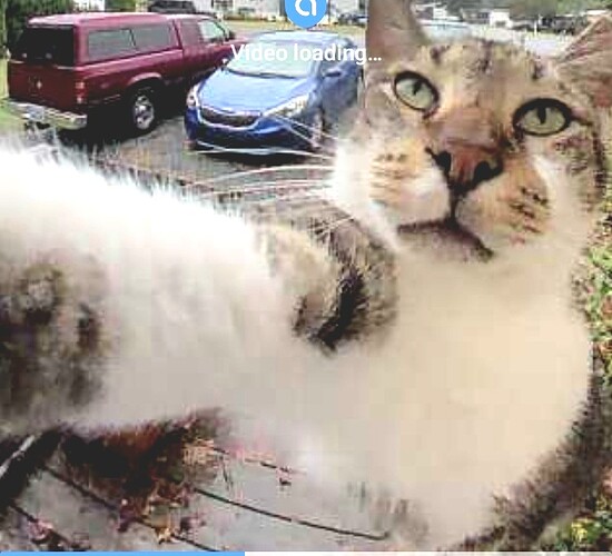 Screenshot_20250930_174934_Gallery