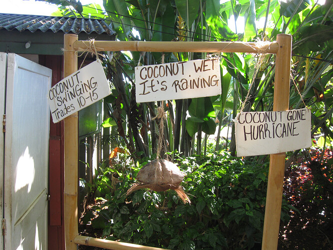 2015_coconut_weather_1kw_80q_img1685
