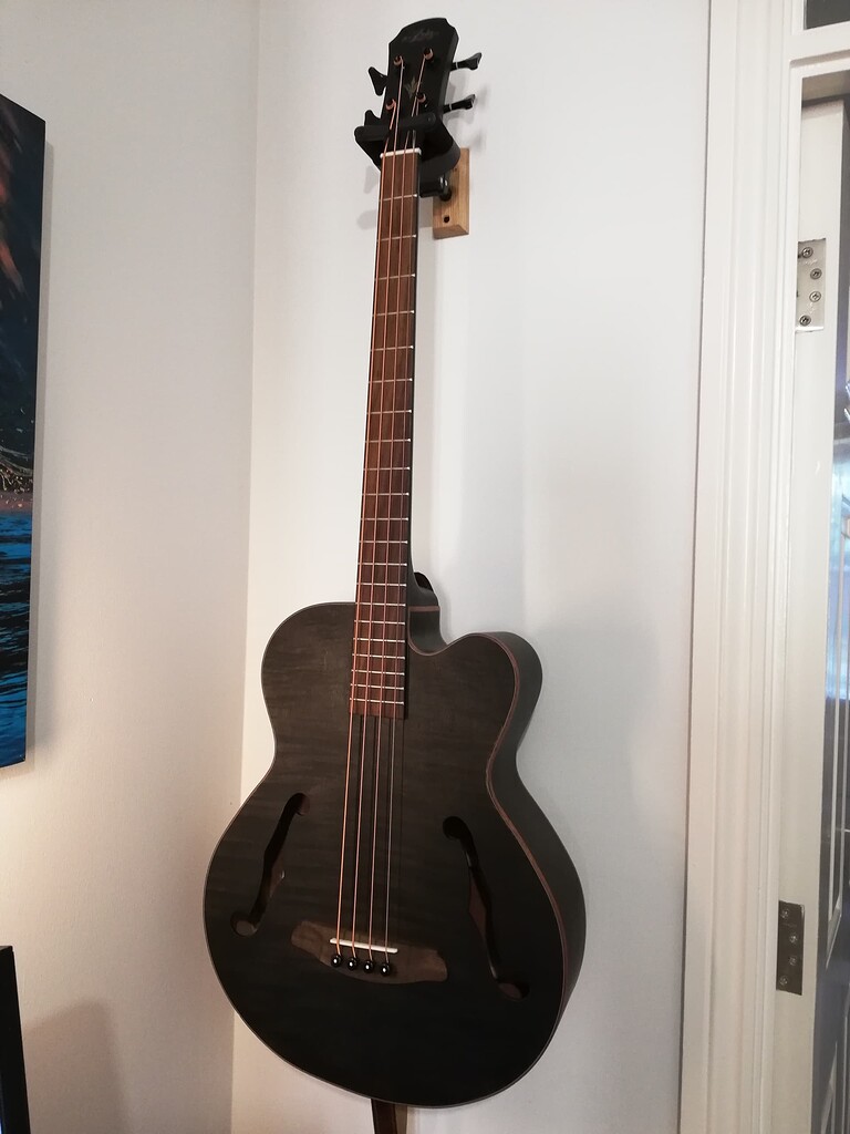 Acoustic bass guitar amplifier top