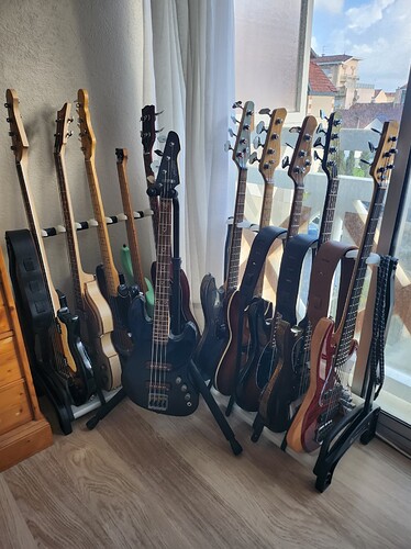 My basses 2024-04-09