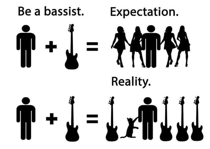 Bassist-ExpectationVsReality