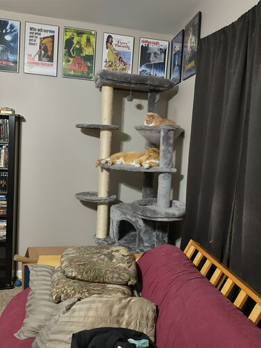 IMG_20240119_190258194_HDR