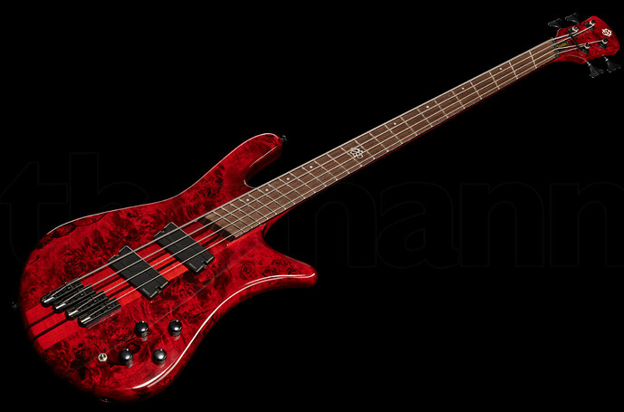 Spector_NS_Dimension_neck_trhu_fanned_fret