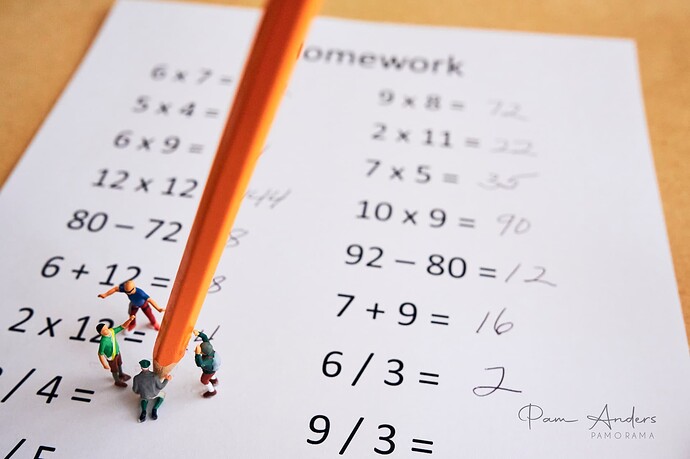 Homework elves