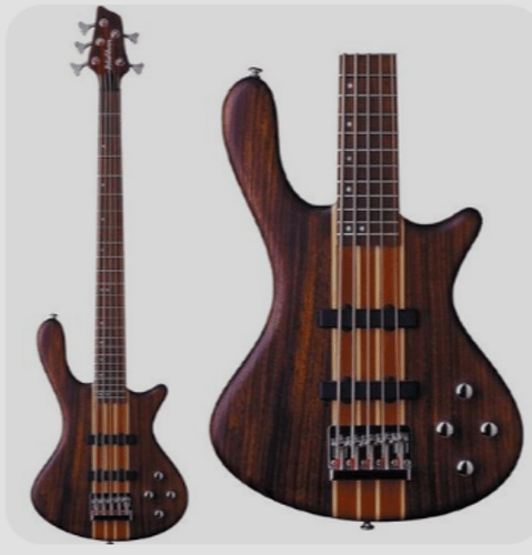 Washburn Taurus T-25 With Barts