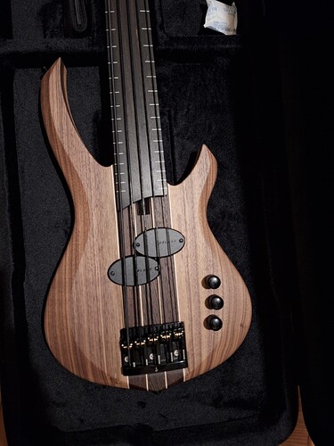 Lignum Spring body front finished
