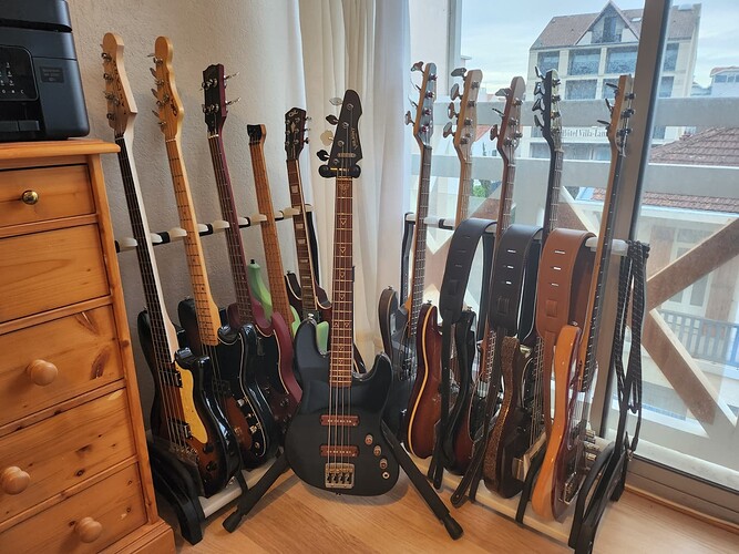 My Basses 1 2024-02-16