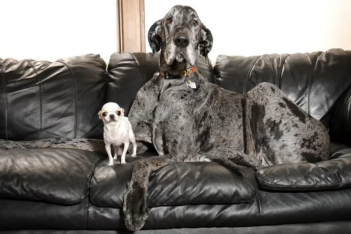 Pearl and Reginald