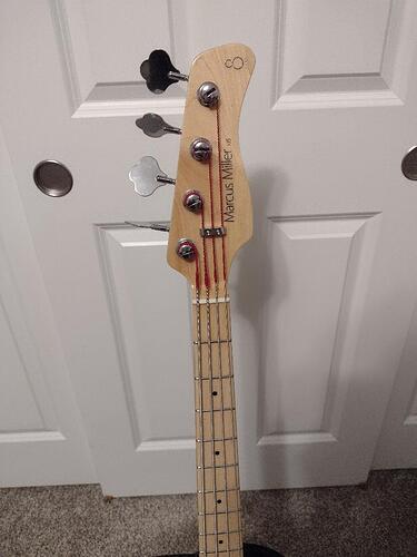 SireU5Headstock