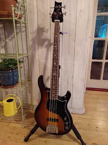 PRS Kestrel SE Bass Guitar 2