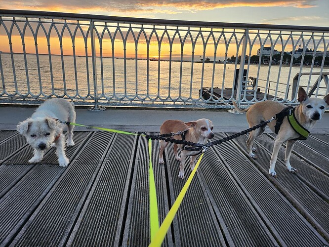 Morning on the jetty