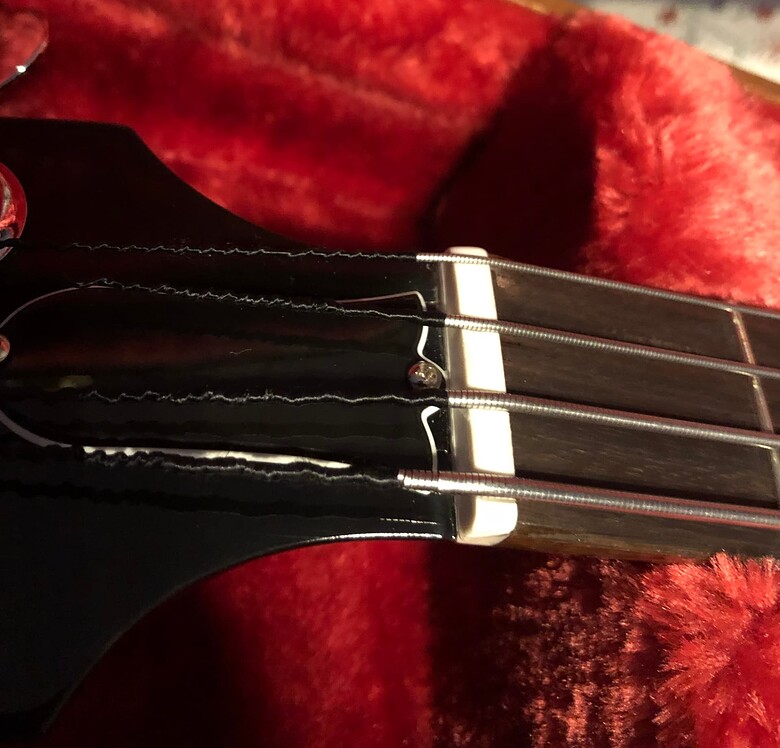 Short Scale, Flatwounds - Gear - BassBuzz Forum