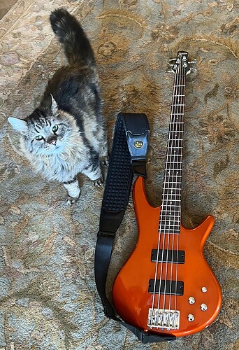 IMG9141crcrGSR205Marble