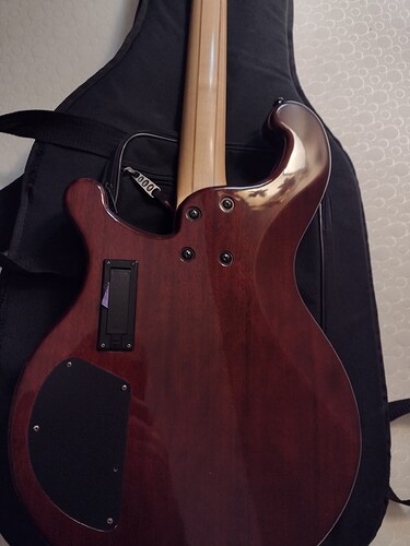 IMG_20240124_181630379_HDR