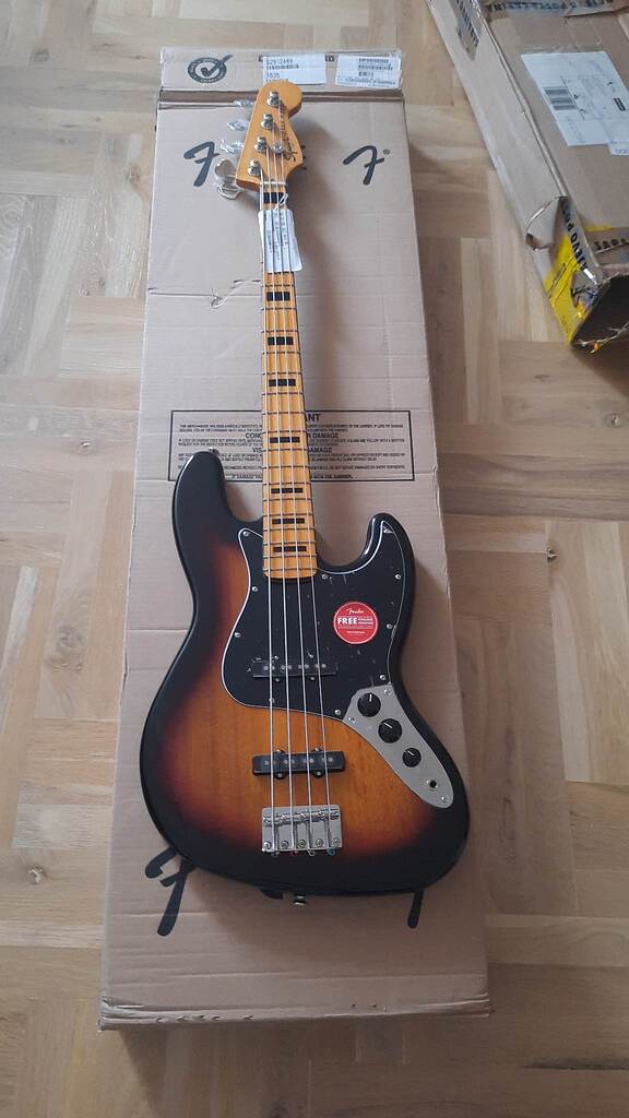 New 70s Jazz Bass Project - Gear - BassBuzz Forum