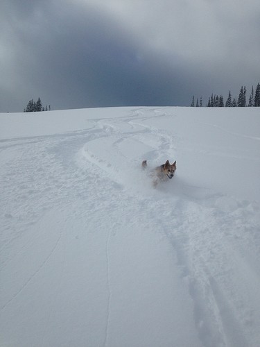 2018-02-24 14.04.02-1-3