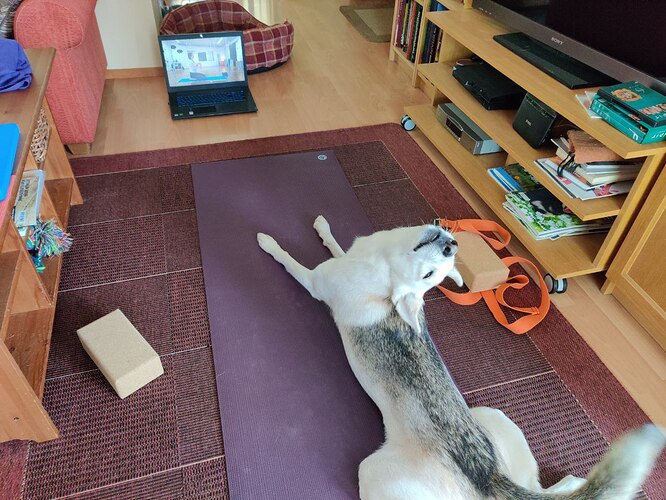 IMG_20251207_005601_546