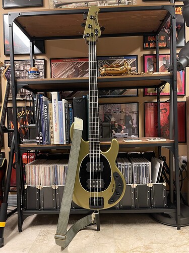 Ernie Ball MM BFR Dargies Delight HH Couch Vintage Auto Vinyl STrap