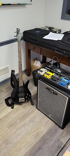 Bass
