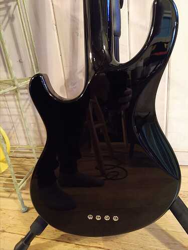 PRS Kestrel SE Bass Guitar back