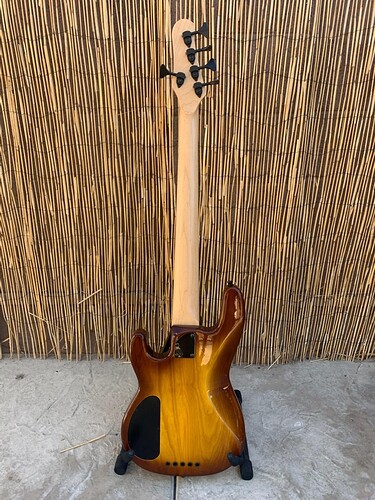 Carvin-B50-Back