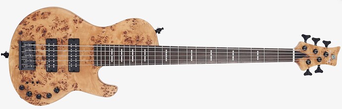 Screenshot 2024-12-10 at 1.35.52 PM