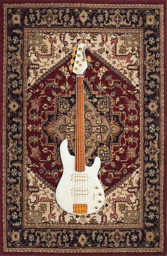 White Ray on rug