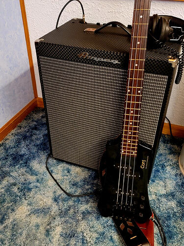 Ampeg + Cort