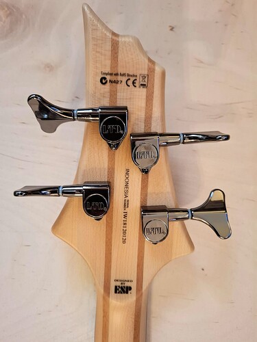 08 bass headstock back