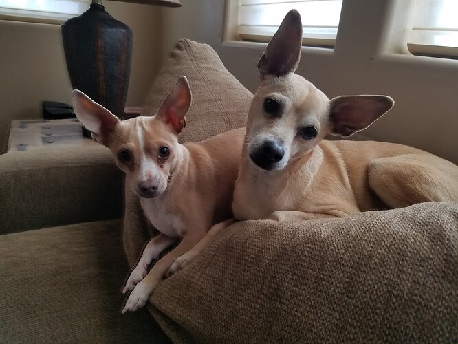 Ollie and Peanut