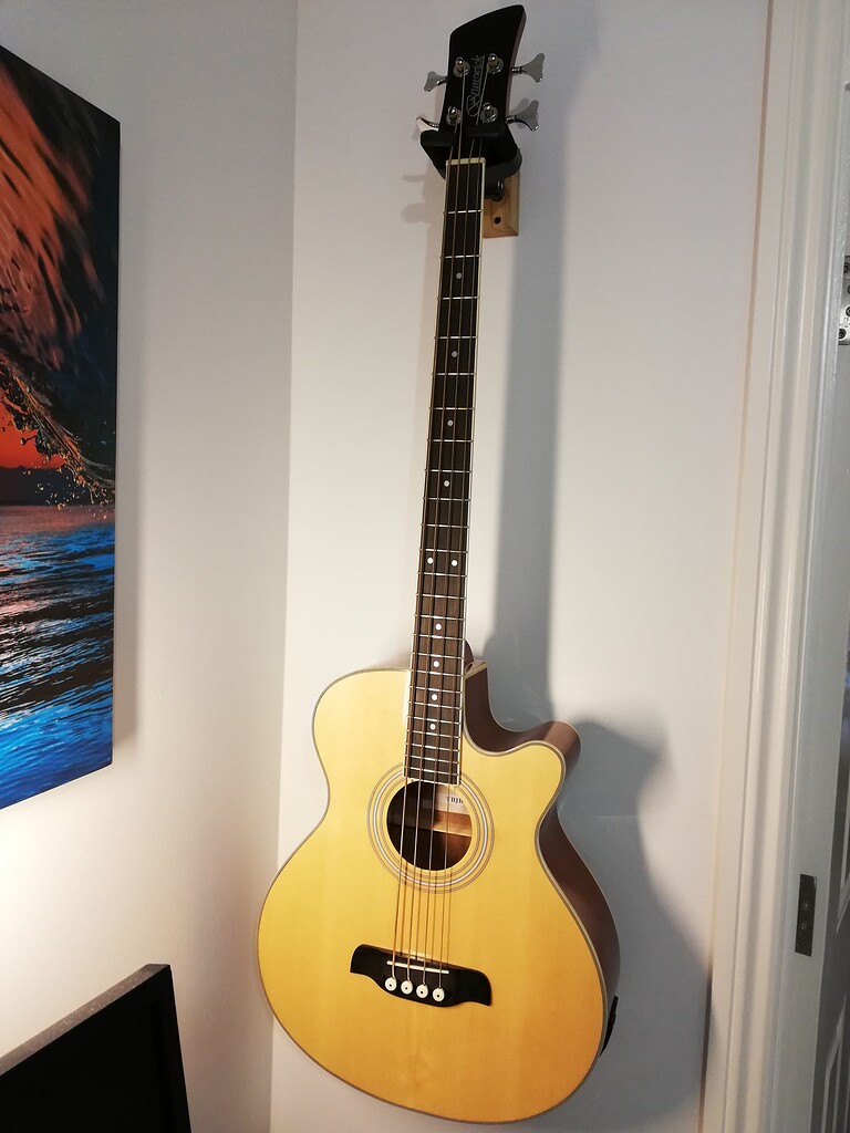 Brunswick acoustic deals bass