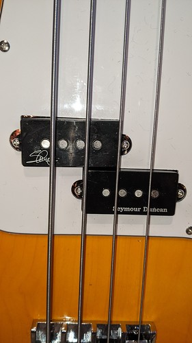 PXL_20211115_163133433