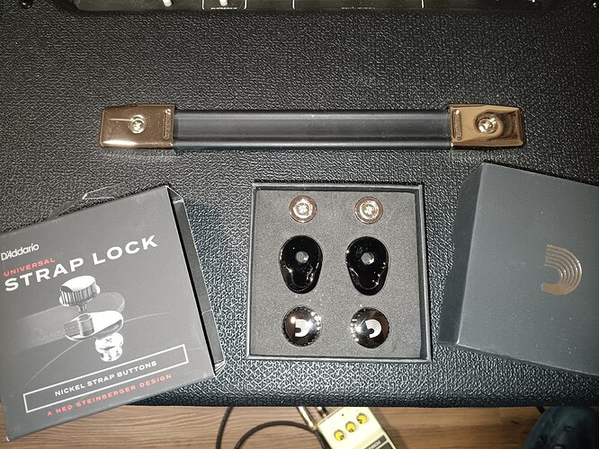 D'Addario_strap_locks