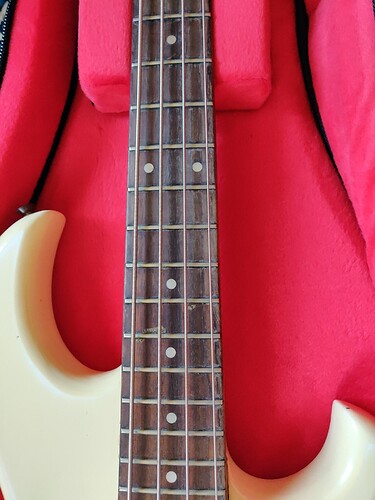 disgusting fretboard