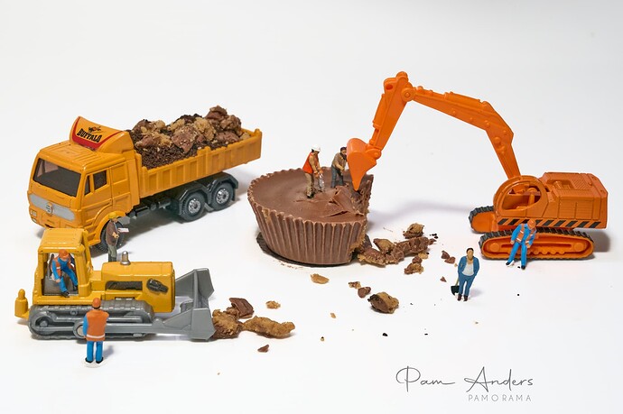 Reeses Project