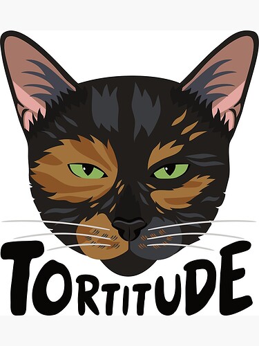 Tortitude