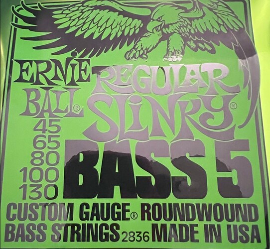 SlinkyBass5