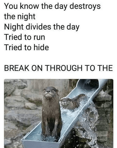 Przechwytywanie
