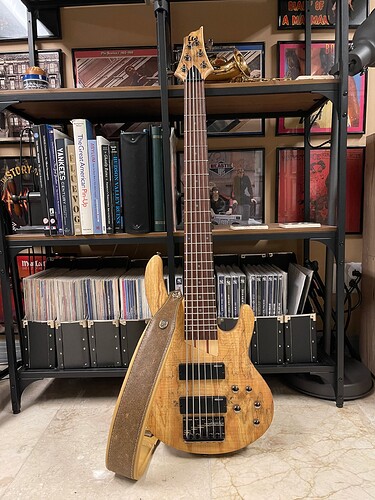 ESP LTD B-206SM