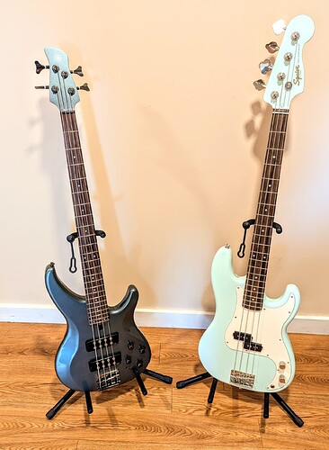 TRB304 and 60s vibe P bass