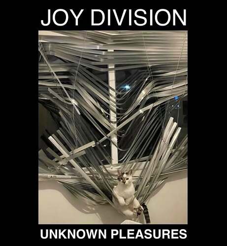 518056432_1217922947047092_7116849931832996347_n