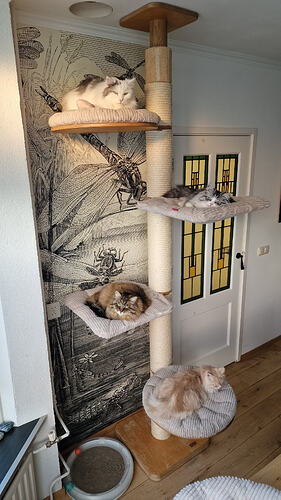 IMG-20251228-WA0001